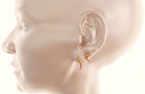 
                  
                    Cornicello Horn Earrings - OOZA Jewelry
                  
                